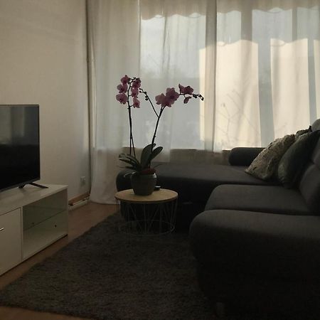 Bel Appartement Near Bale Mulhouse Airport Saint-Louis  Eksteriør billede