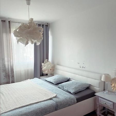 Bel Appartement Near Bale Mulhouse Airport Saint-Louis  Eksteriør billede