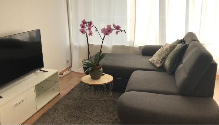 Bel Appartement Near Bale Mulhouse Airport Saint-Louis  Eksteriør billede