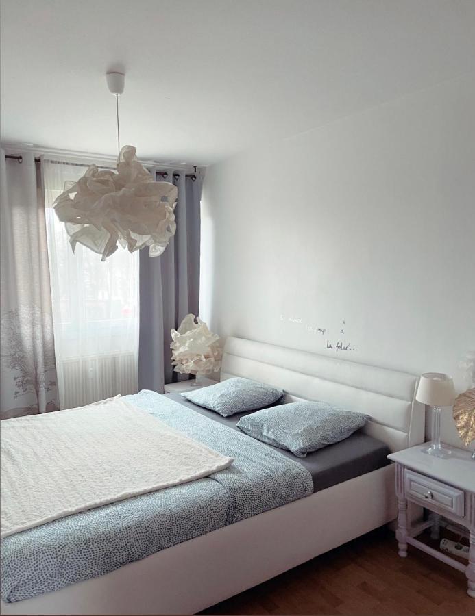 Bel Appartement Near Bale Mulhouse Airport Saint-Louis  Eksteriør billede