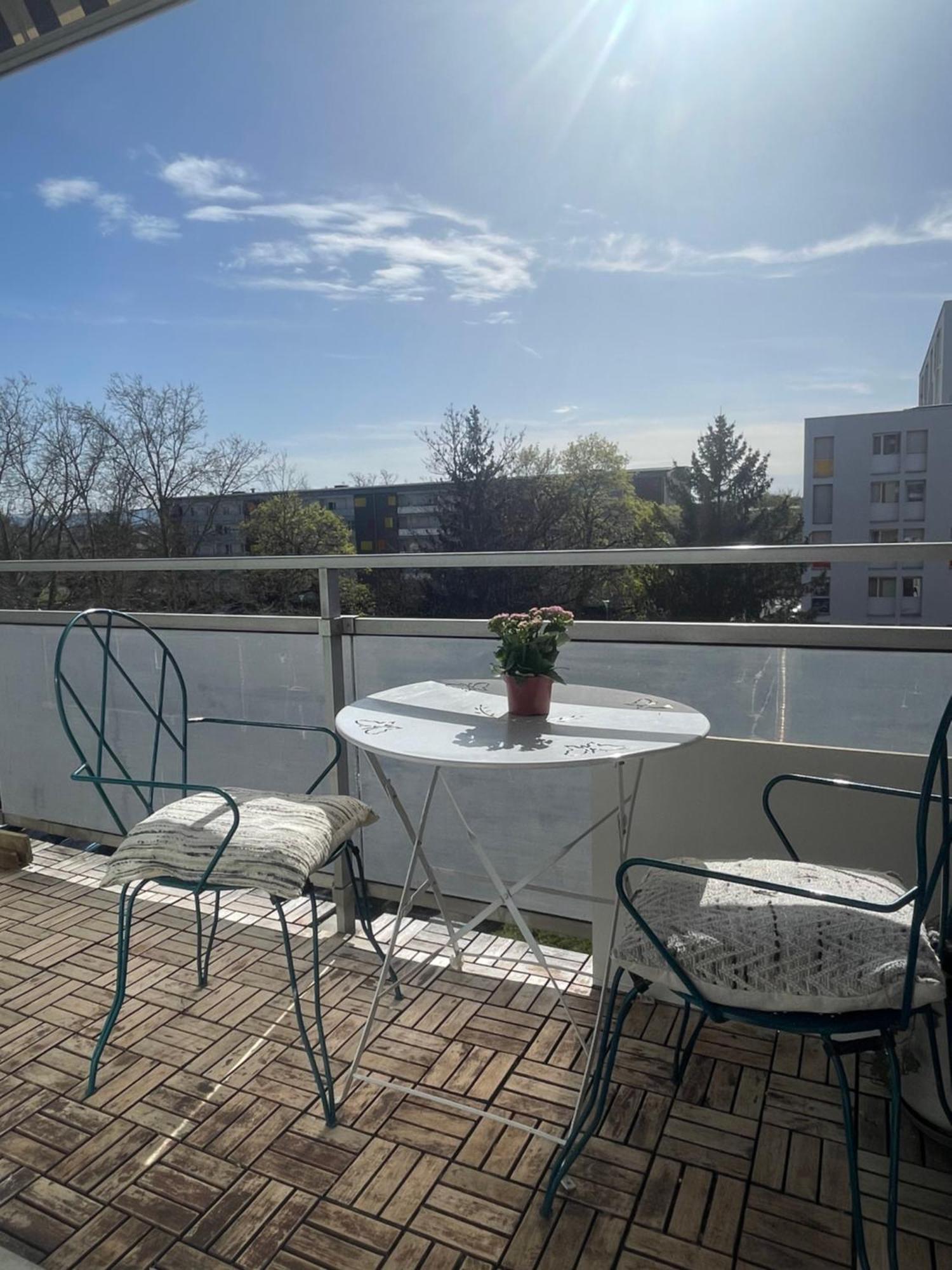 Bel Appartement Near Bale Mulhouse Airport Saint-Louis  Eksteriør billede