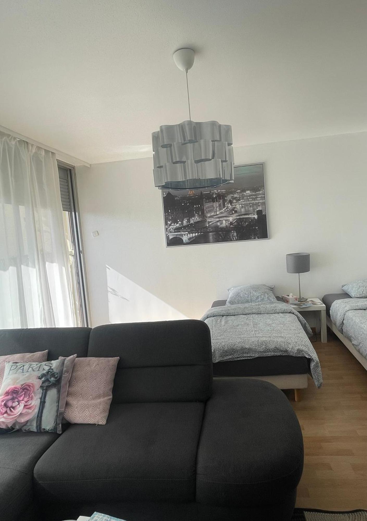 Bel Appartement Near Bale Mulhouse Airport Saint-Louis  Eksteriør billede