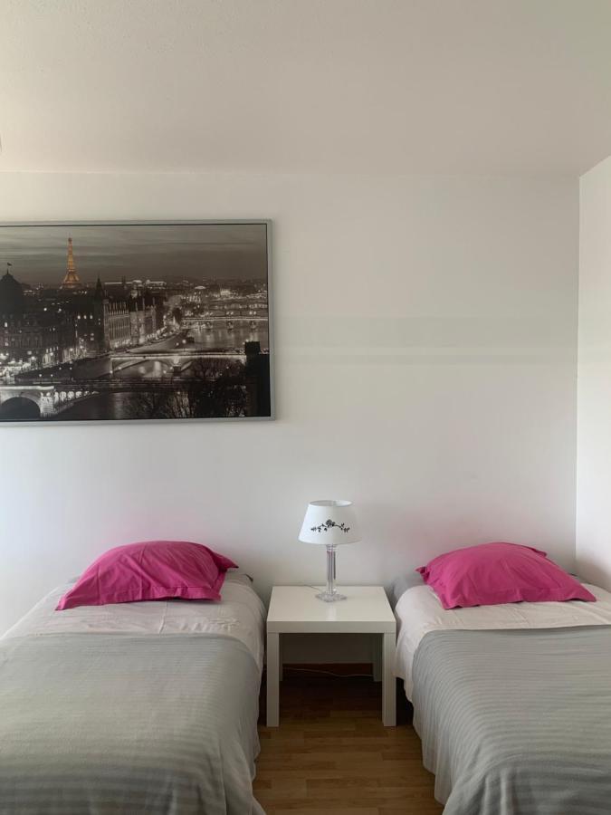 Bel Appartement Near Bale Mulhouse Airport Saint-Louis  Eksteriør billede