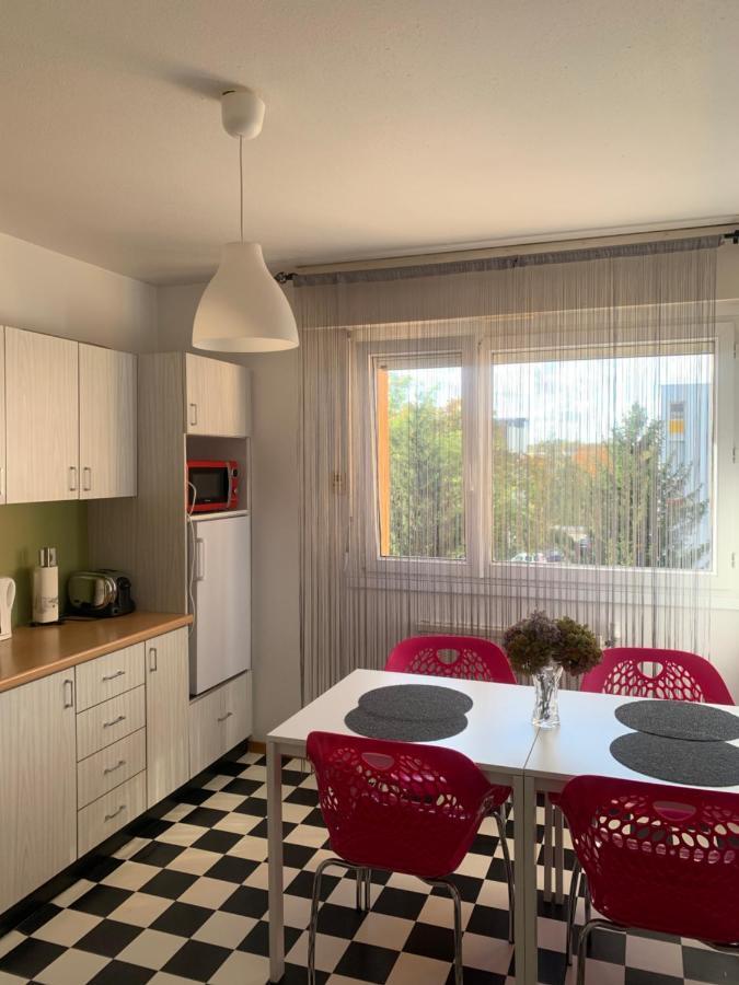 Bel Appartement Near Bale Mulhouse Airport Saint-Louis  Eksteriør billede
